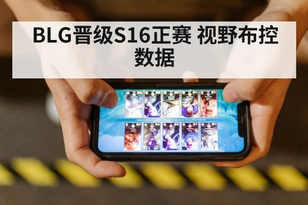 BLG晋级S16正赛 视野布控数据