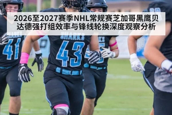 2026至2027赛季NHL常规赛芝加哥黑鹰贝达德强打组效率与锋线轮换深度观察分析